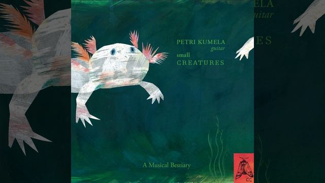 Jennah Vainio: Magpie Bones (Pica Pica) смотреть онлайн