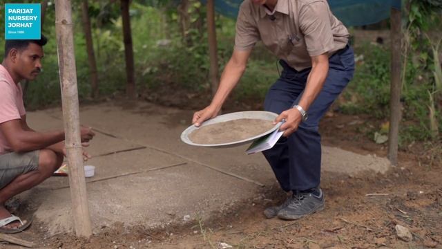 কবি গুটি কি দৰে পচাব | How to grow Cabbage Seedlings | Parijat Nursery Jorhat смотреть онлайн
