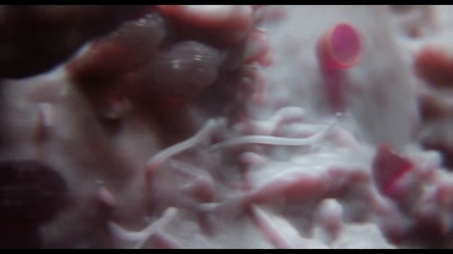 Исправить Все (Fix All) - E-gens