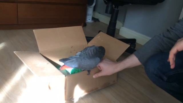 Первый выход