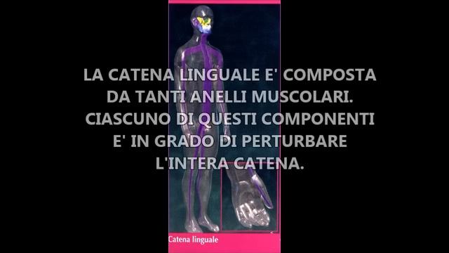 VIDEO-TEST LINGUA E POSTURA