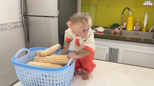 Smart monkey Lily helps dad collect clothes when it rains смотреть онлайн