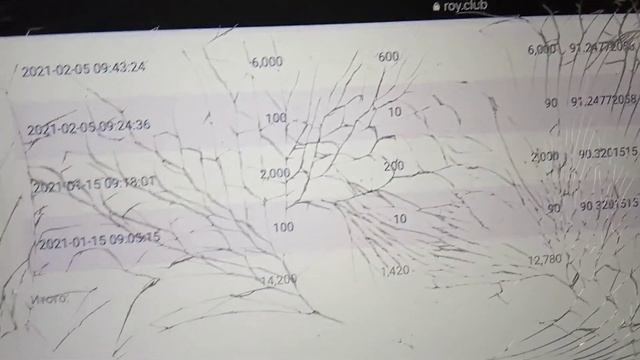 #РостПризм l Рост 100% в день ввода PRIZM. Закрыла Бронзовый ранг и заработала 4000 PRIZM смотреть онлайн