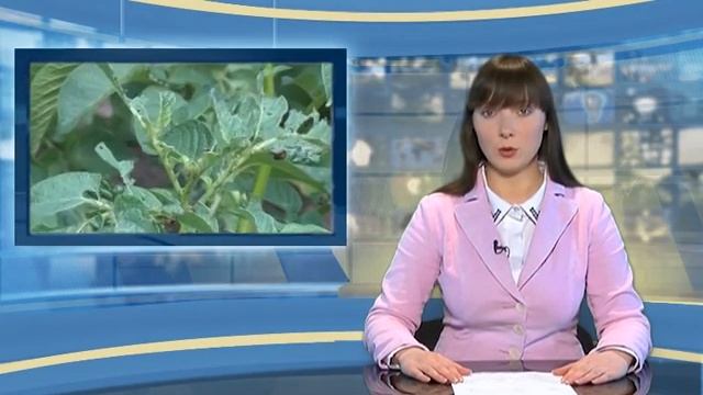 2015 07 14 Kėdainių krašto naujienos смотреть онлайн