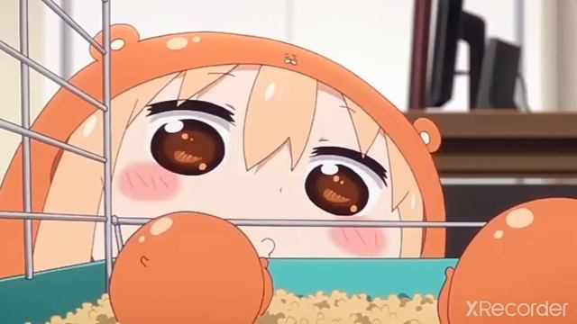 Новая сестра Умару смотреть онлайн