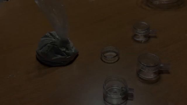 トビイロケアリ　引っ越しする