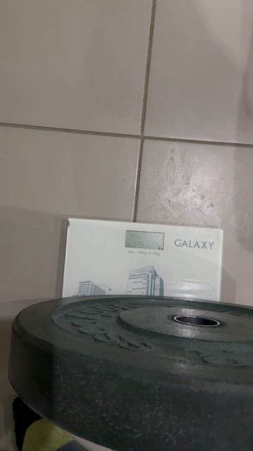 23-02-2025 взвешивание (4 этап)