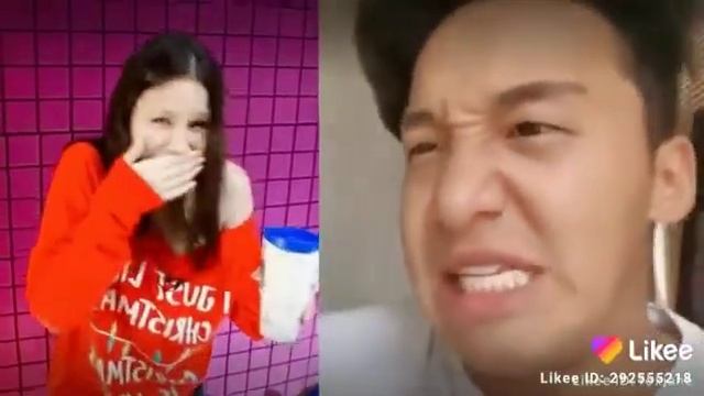 Fantastic Fern Frenzy