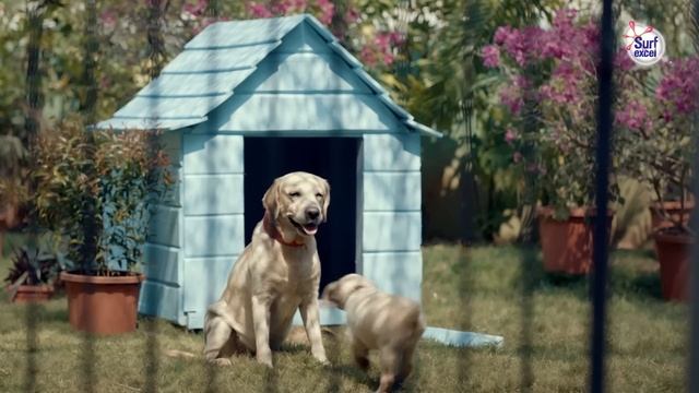 SURF EXCEL EASY WASH | BHOJPURI | NEW PACK