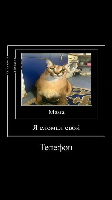 Шлёпа сломал свой телефон #shorts #демотиватор #пельмени #Шлёпа #мем