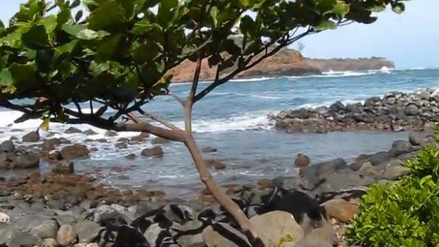 Beautiful Blue Beaches on the Big Island Hawaii смотреть онлайн