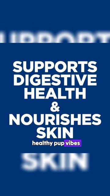 Ultimate Guide to Hill's Science Diet Sensitive Stomach & Skin Dog Food! смотреть онлайн