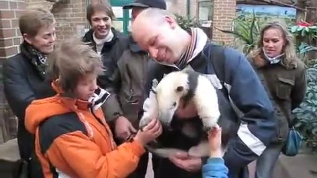 Ameisenbär смотреть онлайн