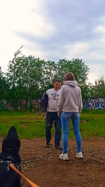 Нападение на девушку. Армида защитила. ✌ смотреть онлайн