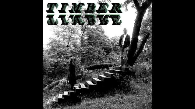 Timber Timbre - Demon Host