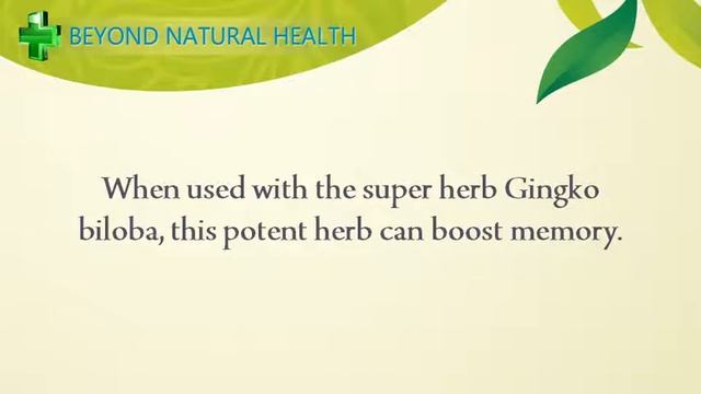 9 Natural Herbs For Better Health And Wellness | #Deholistic смотреть онлайн