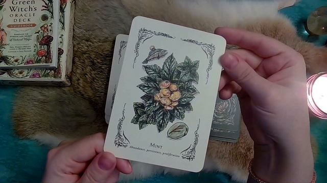 The Green Witch's Oracle Review and Walkthrough смотреть онлайн