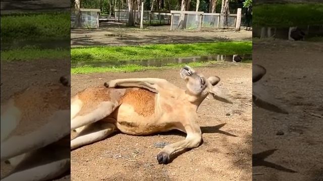 Yes, that's it. смотреть онлайн