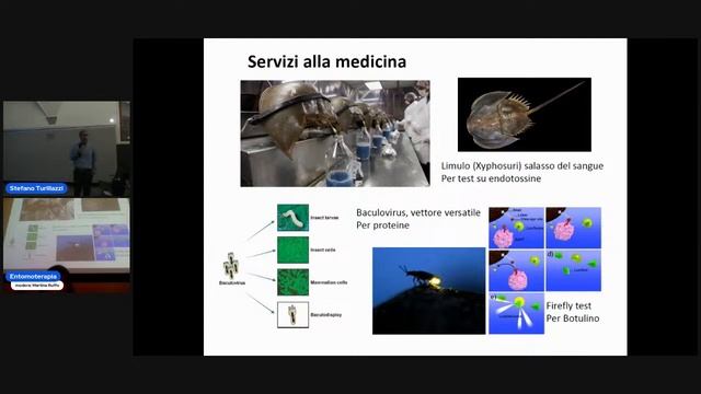 Entomoterapia - Gli insetti come farmaci смотреть онлайн
