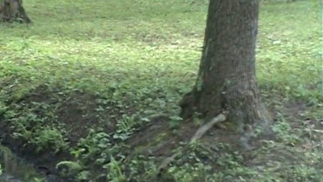 Валера в Петродворце ч.5. смотреть онлайн