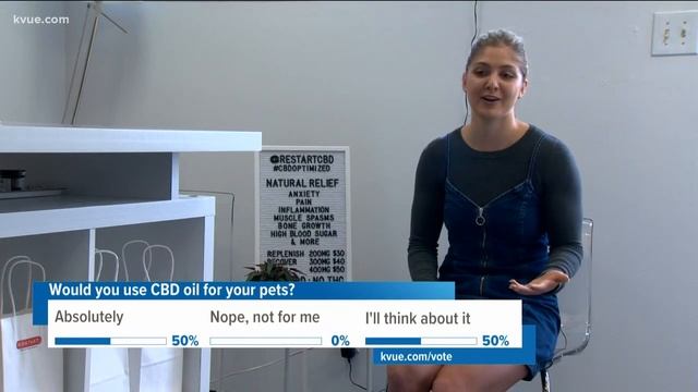 CBD Craze: Would you use CBD oil on your pets? смотреть онлайн
