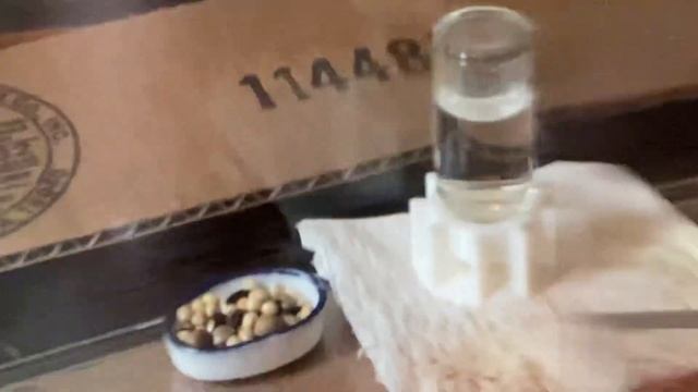 Ants-Expo Camponotus Pennsylvanicus Starter Any Colony Pulling In A Mealworm, To Feed Their Larvae смотреть онлайн