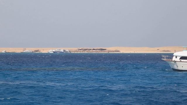 Морская прогулка Dolphin House Hurghada. Egypt. Red Sea