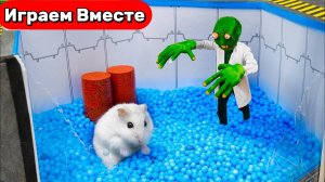 Лабиринт для Хомяка с ловушками ! ЗОМБИ АПОКАЛИПСИС ! Умный Хомяк ! Видео для детей