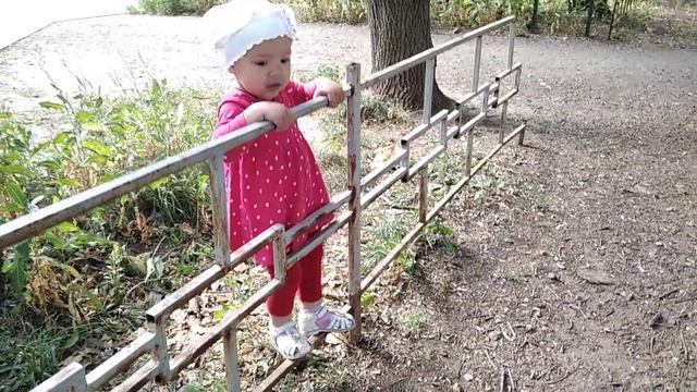Даша и голуби. Дубовая роща. смотреть онлайн