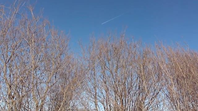 Март, солнце, синичка звонко поет :)