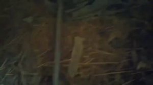 ЗАПАЛ ВЕДОИО 2021 ZAPAL BONU720P HD