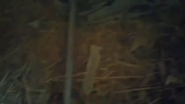 ЗАПАЛ ВЕДОИО 2021 ZAPAL BONU720P HD