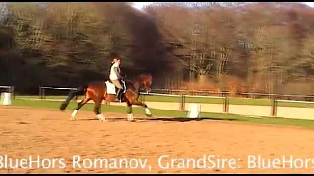 Commander AB смотреть онлайн