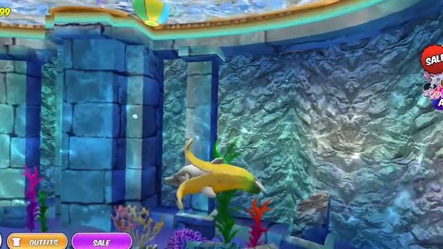 My dolphin show training time new video upload full hd смотреть онлайн