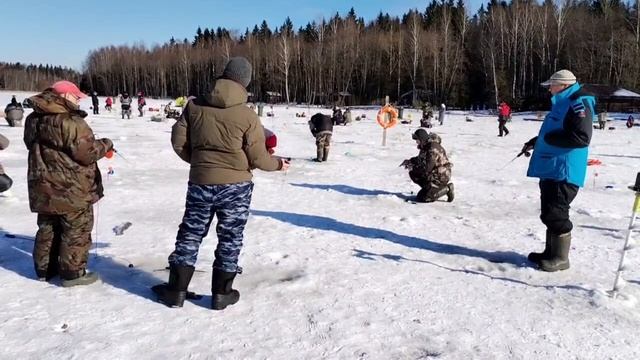 Поимка и сход форели смотреть онлайн
