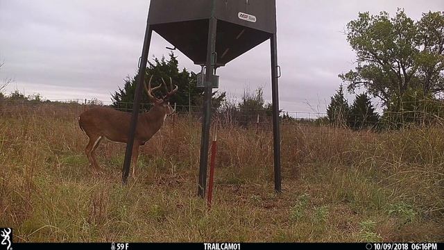 Browning Trail Camera Strikeforce HD setup смотреть онлайн