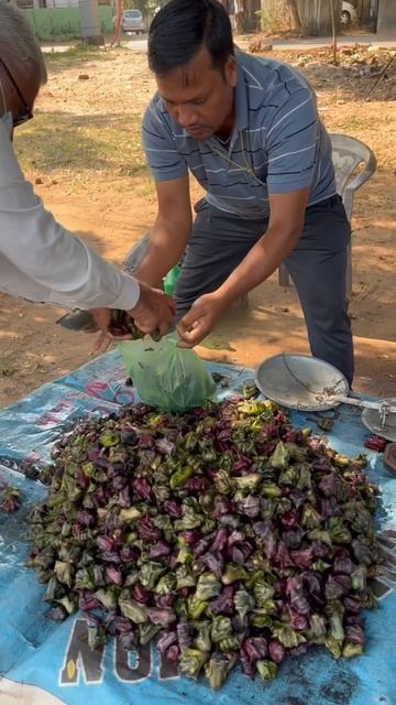Singhara, The Most Nutrient Fruit Now In Bhubaneswar #shots