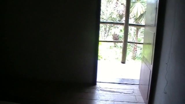 Explorama Lodge, Amazon River, Peru смотреть онлайн