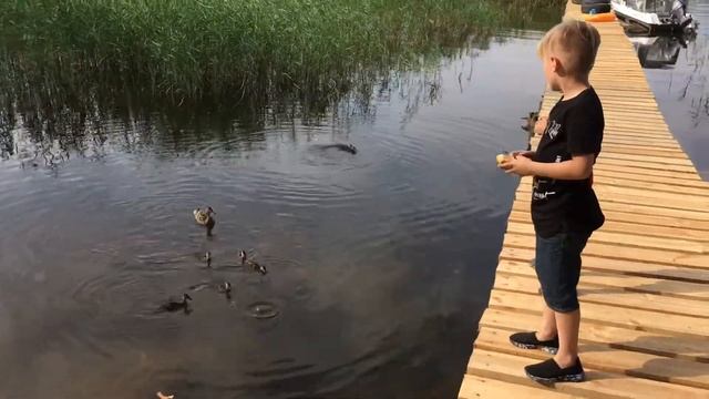 2 августа 2019 г. смотреть онлайн