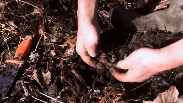 Propagation - Tip Layering is Easy! смотреть онлайн