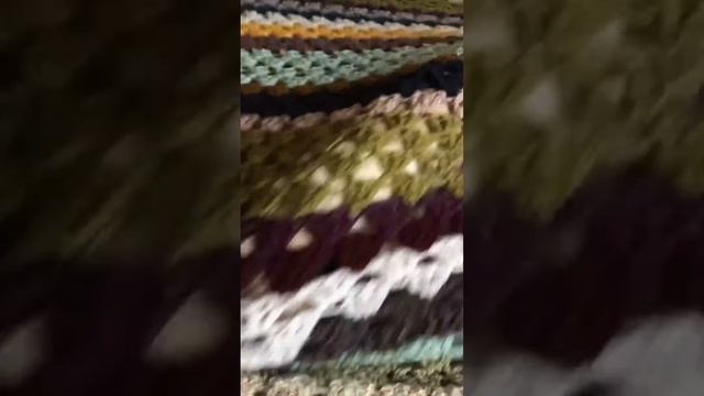 Найди кота!