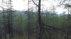 Путешествие в горы Якутии. Часть 3. На реку Сунтар.