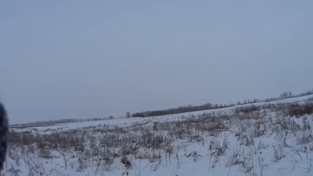 Охота на зайцев - Дальше, только интереснее