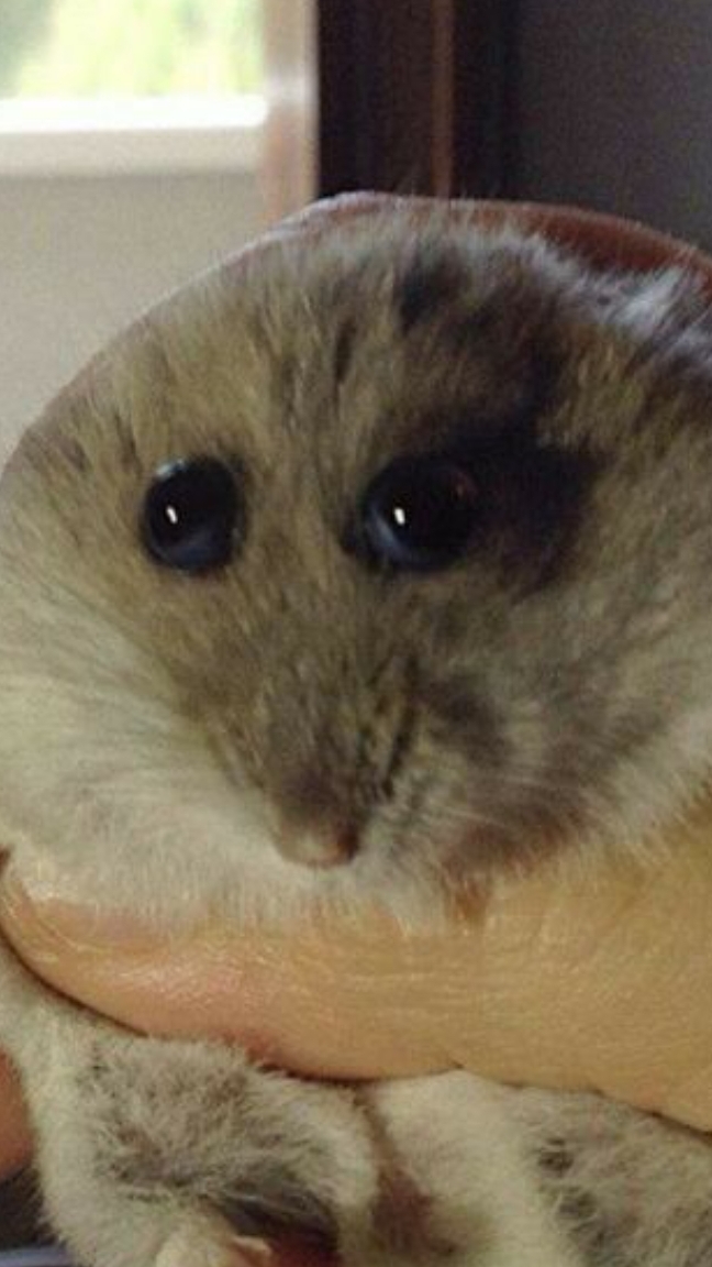 каточки в метро