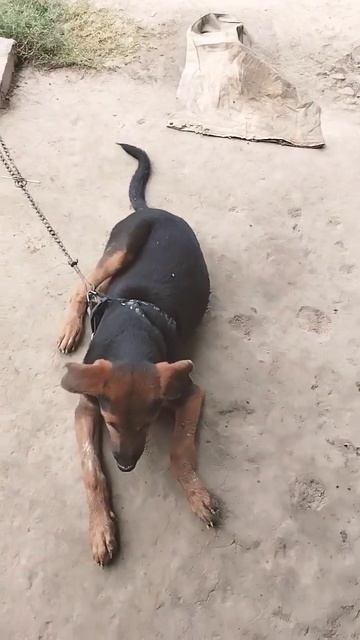 #❤️❤️❤️ смотреть онлайн