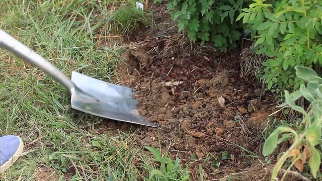 Diviser les iris смотреть онлайн