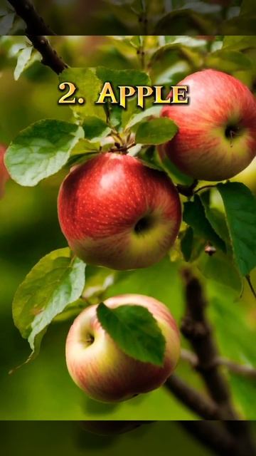 5 fruits that are beneficial for diabetic patients #health #food #trending #vairal #vairalshort смотреть онлайн