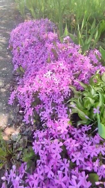 29 мая 2024 г. смотреть онлайн