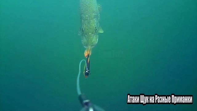 атака огромной щуки смотреть онлайн
