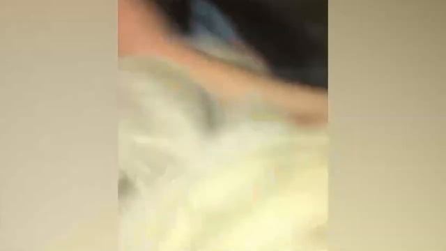 The BEST FURRY VIDEOS From YouTube And TickTock (#8)